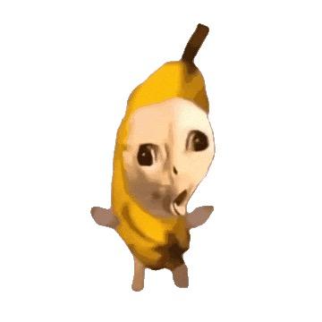 猫meme小破厂