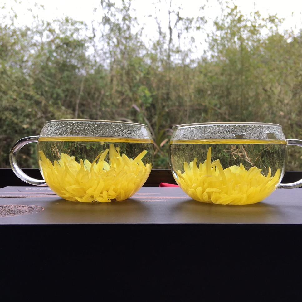 菊花姐姐