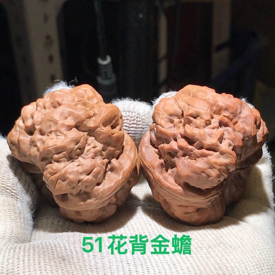 疯狂的核桃啊