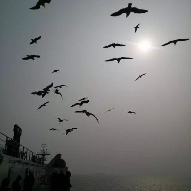 【为所欲为(ಡωಡ)