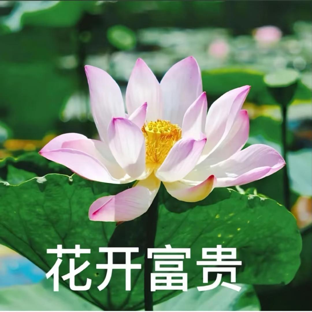 忆安-_