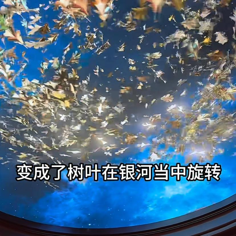 铁公鸡