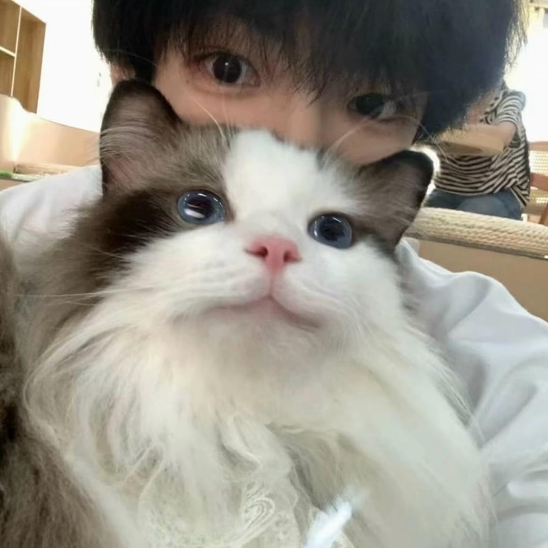 不吃泡面吃什么