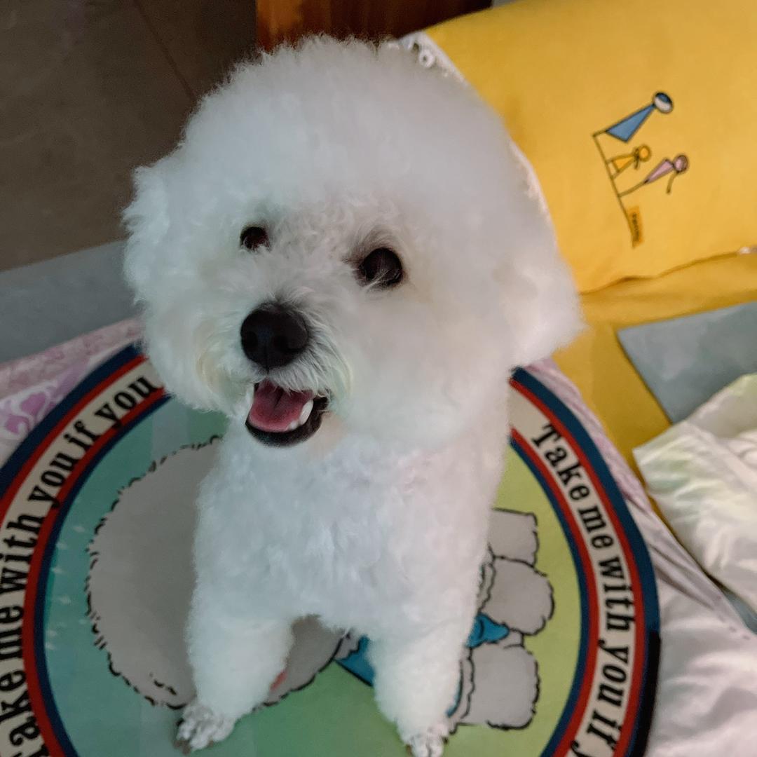 团子吃不饱