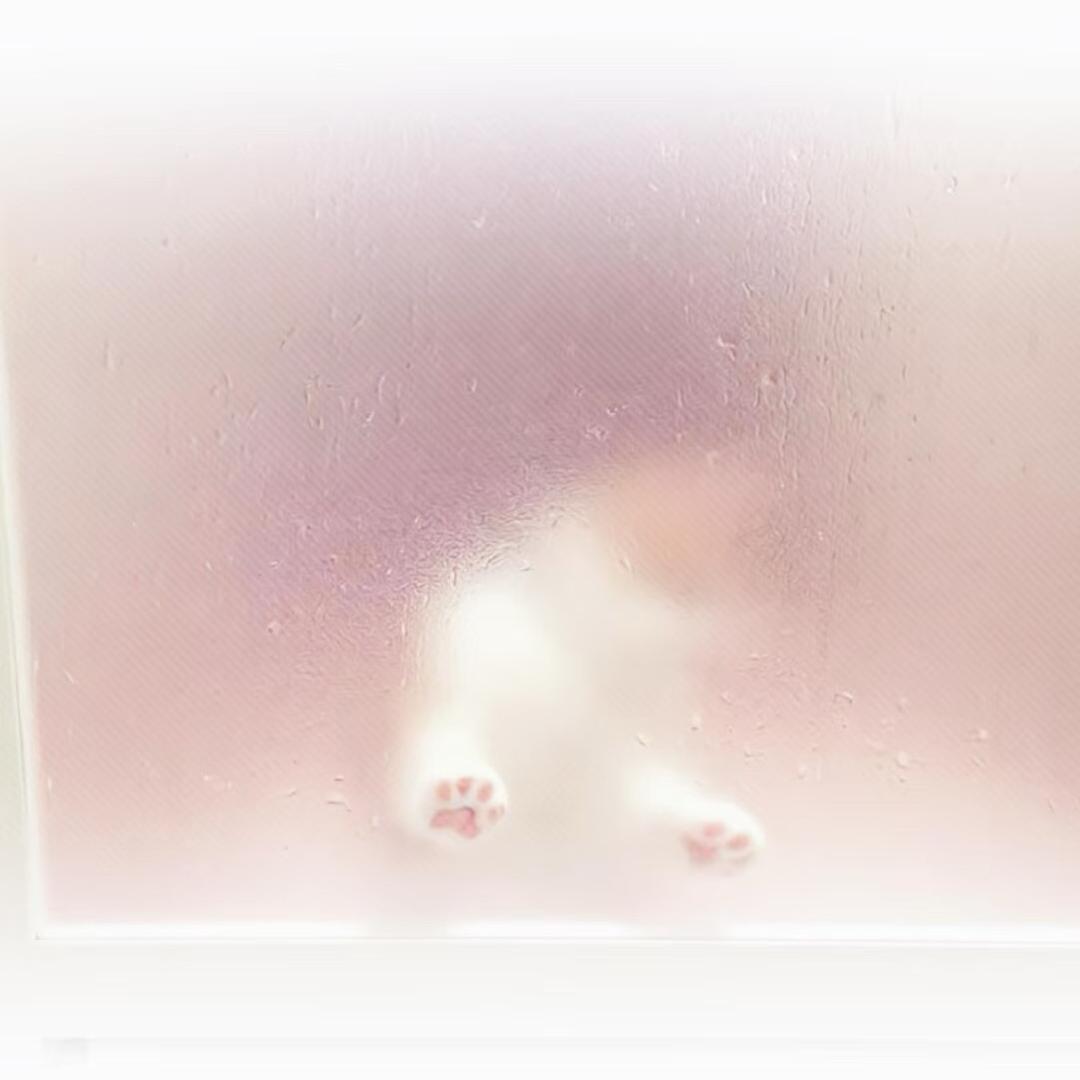 晚晚