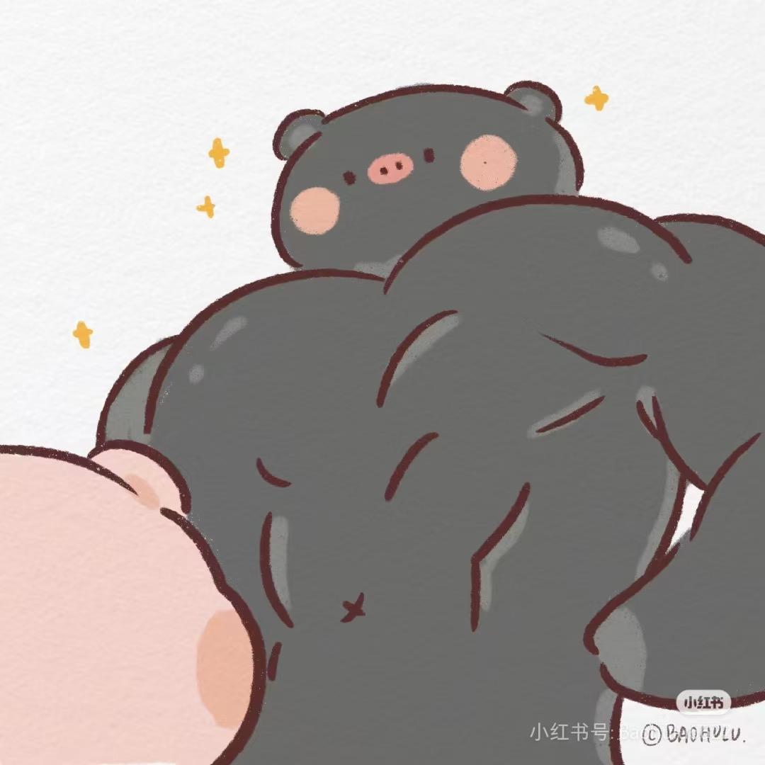 车影随行