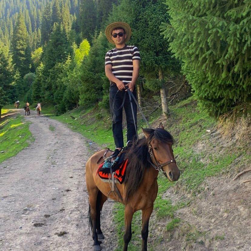 新疆伊犁各种精品马🇨🇳