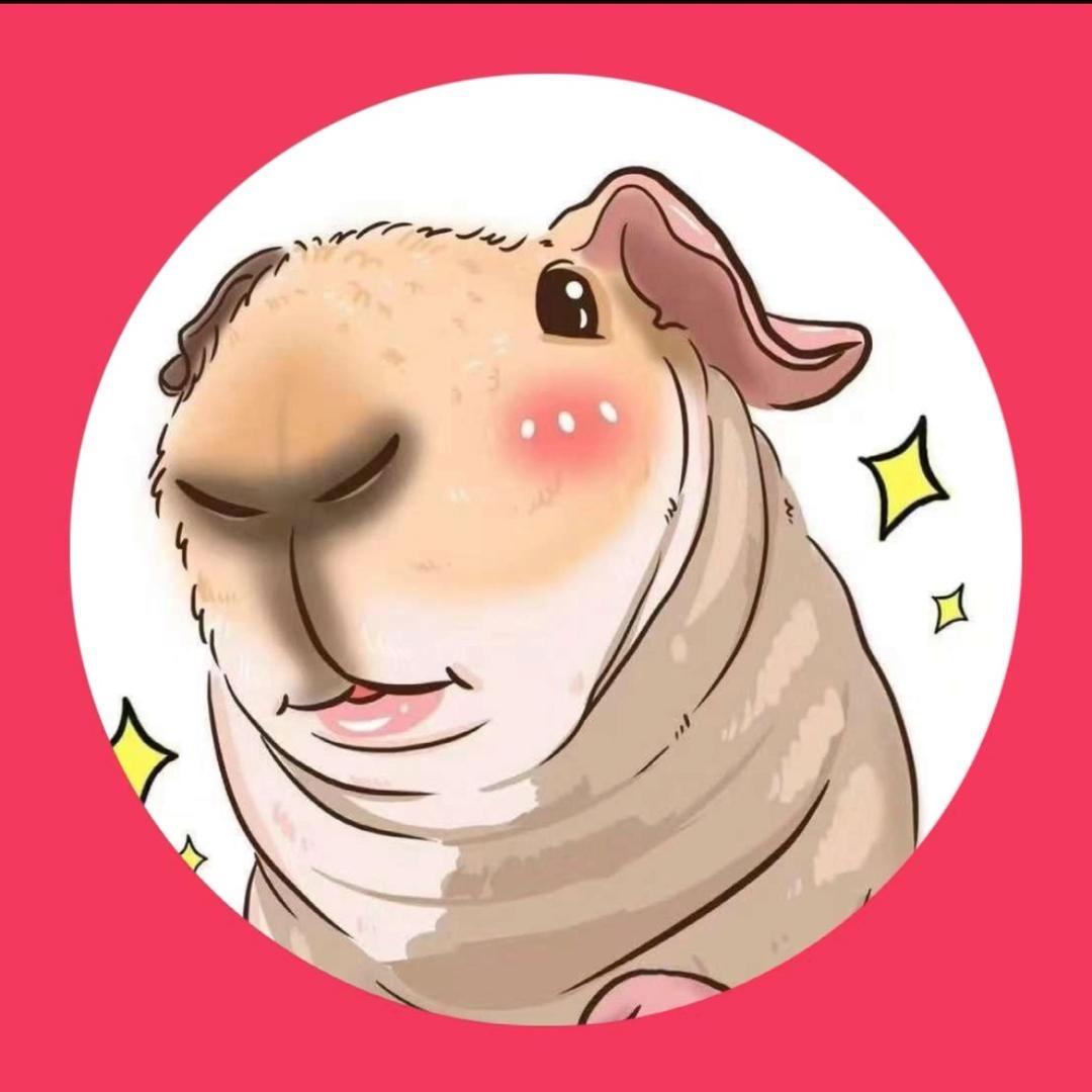 雷gg萌宠