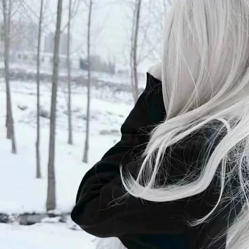 白色橄榄树