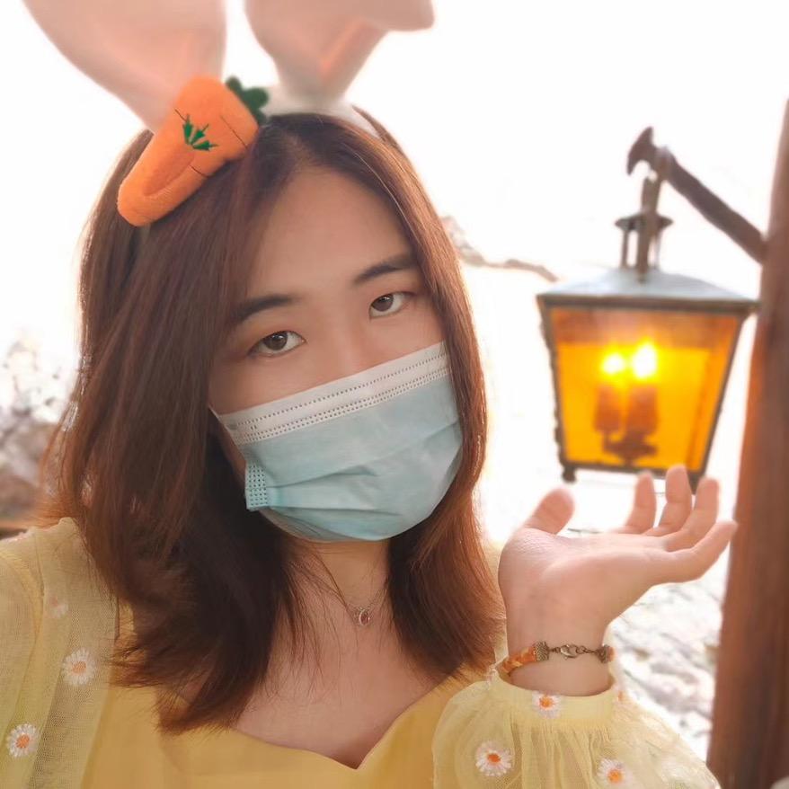 二狗的日记