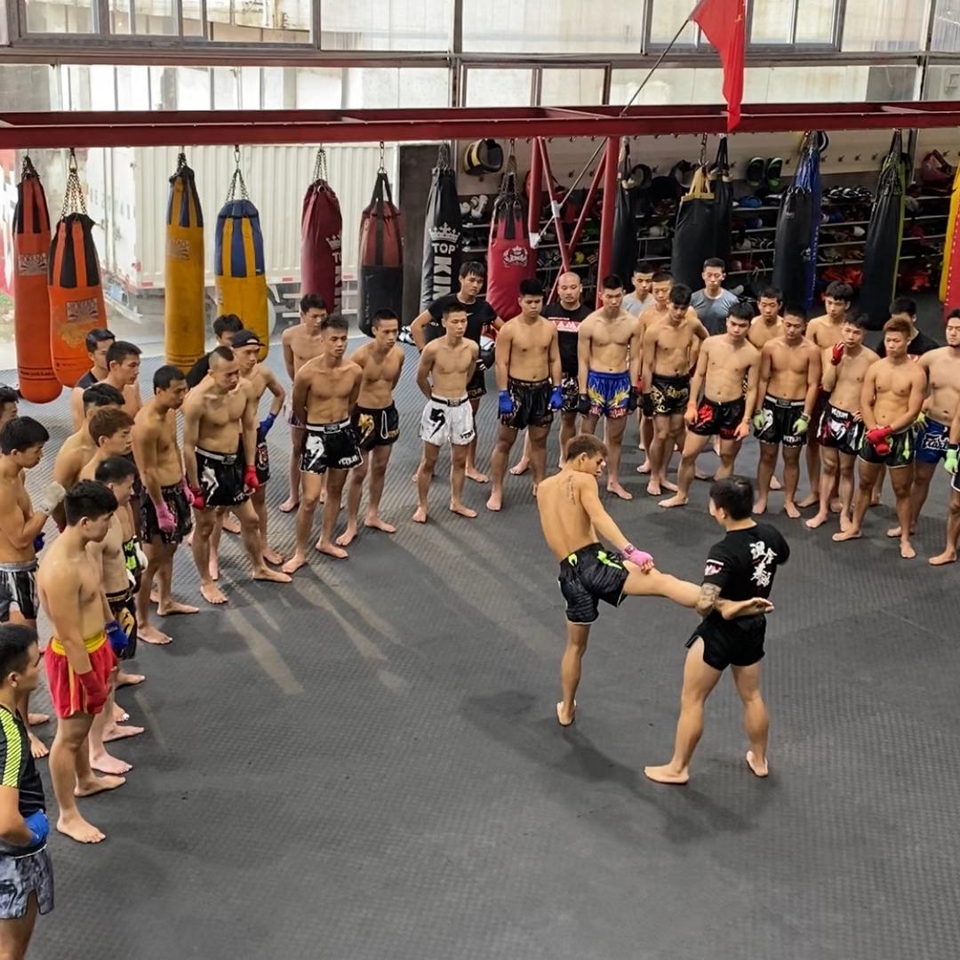 温拿拳馆搏击运动员实录🥊区伯主号