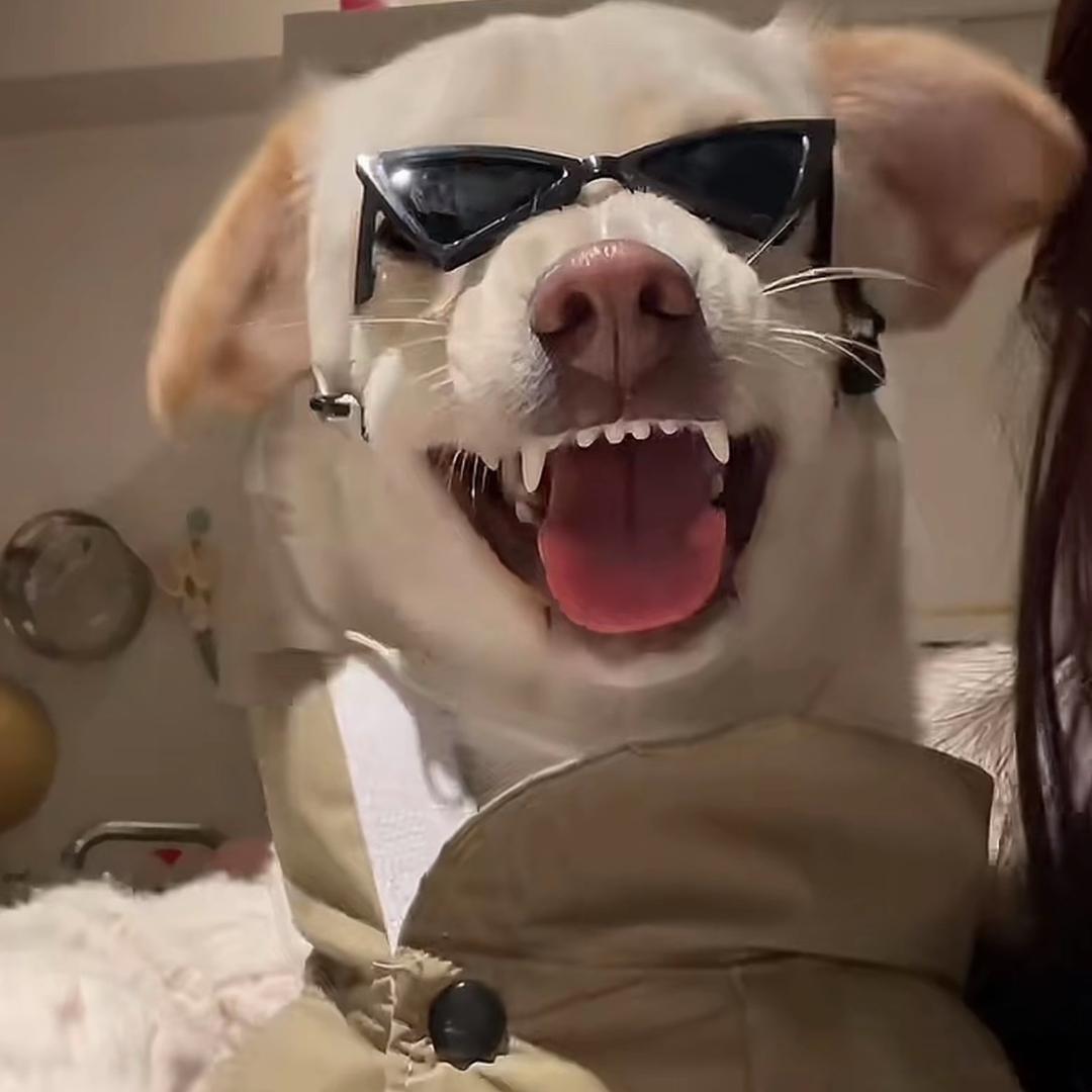 马句