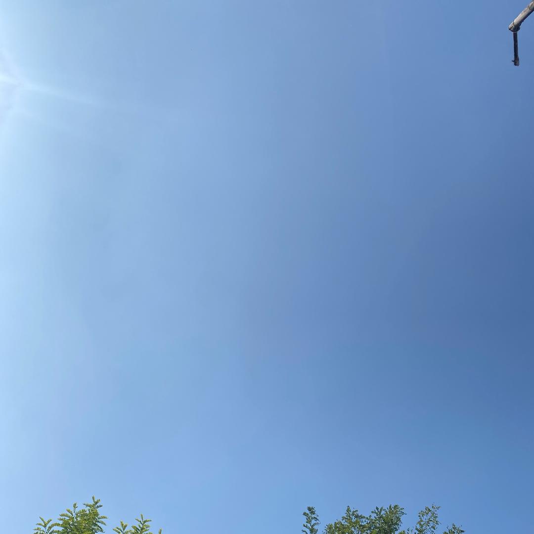 我来了1