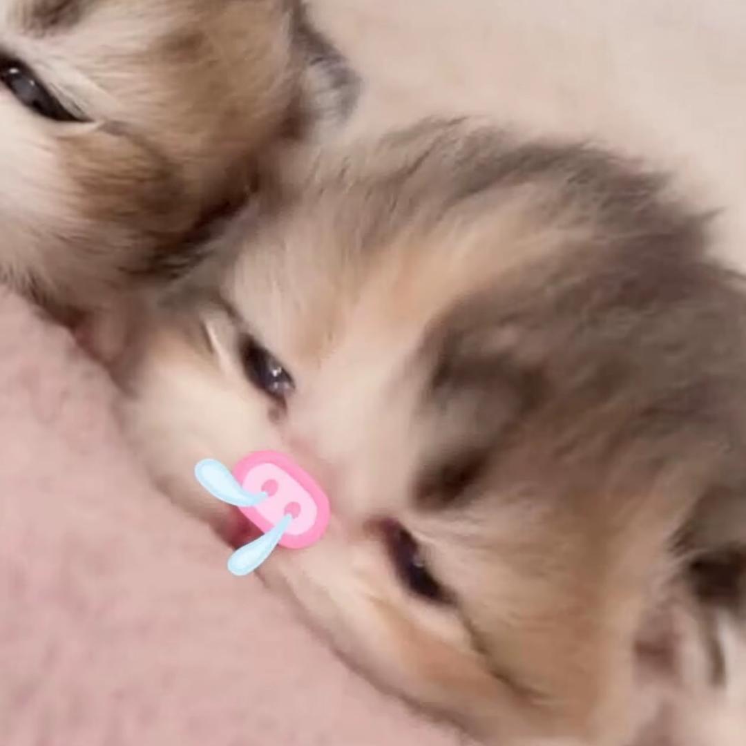 叹气