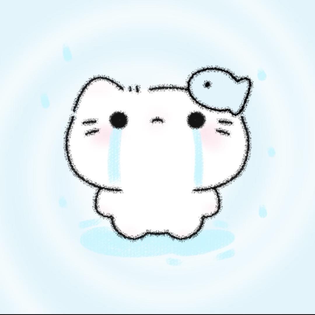 给我的修猫起个名