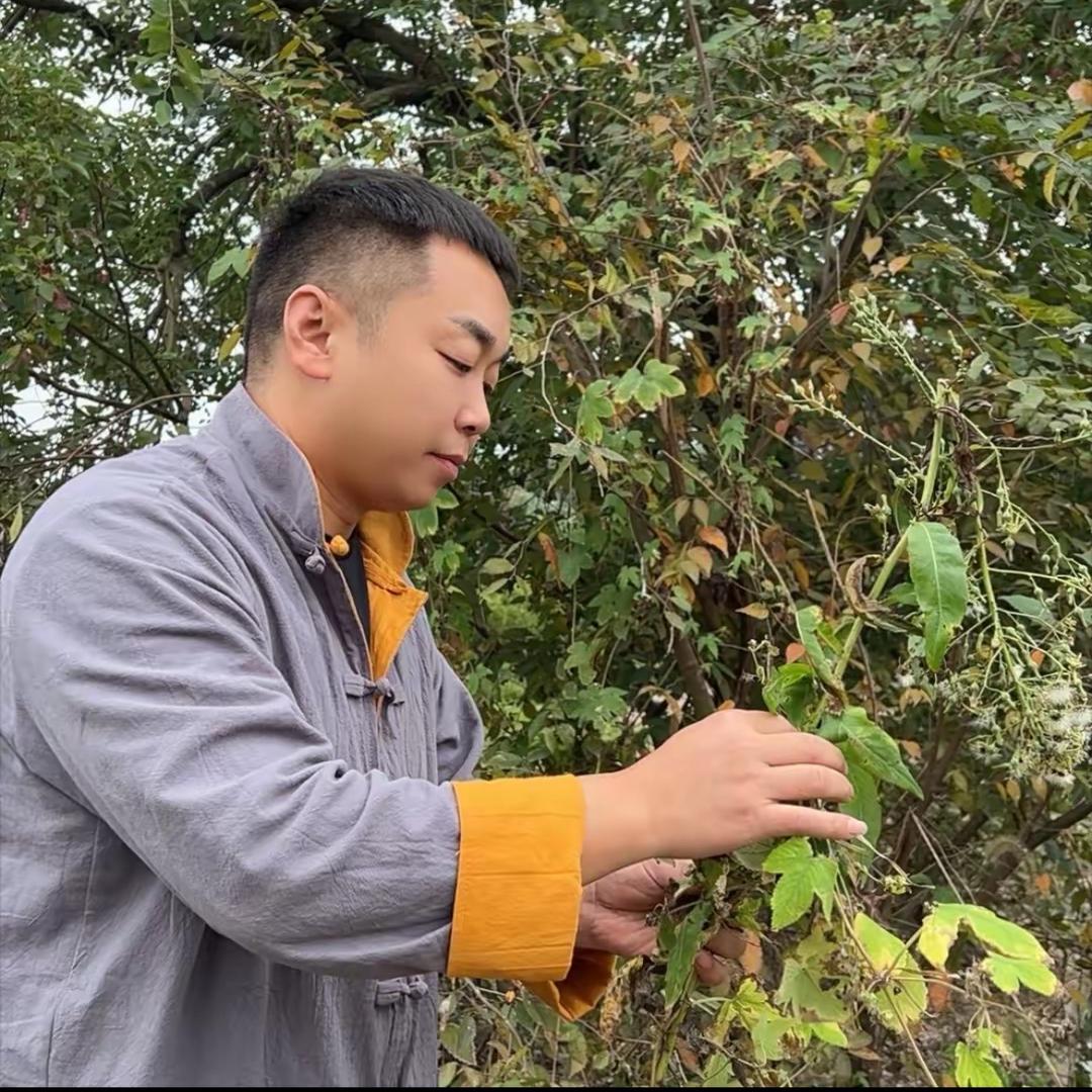苗辉丁