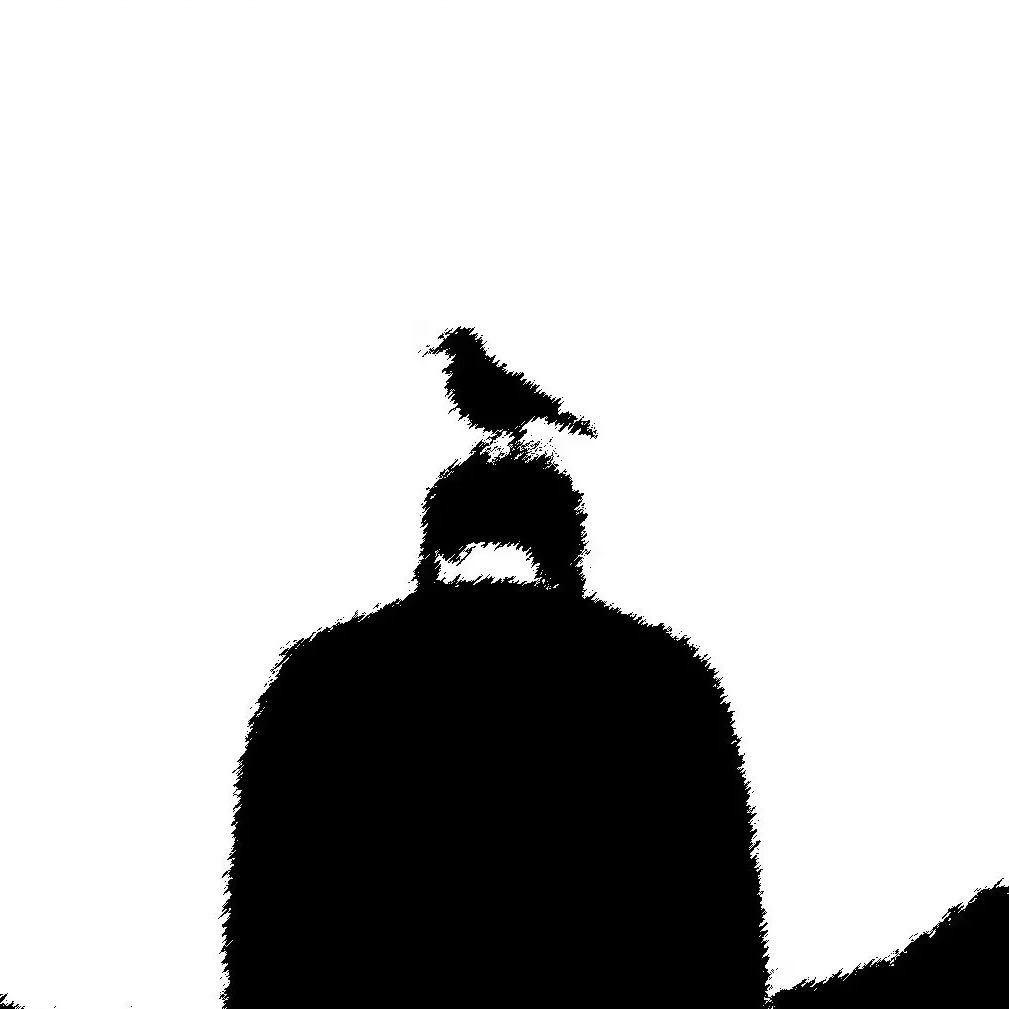 小李师傅的工具🛠️