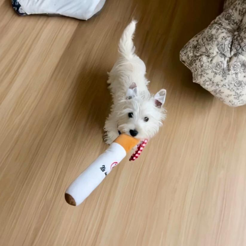 恋