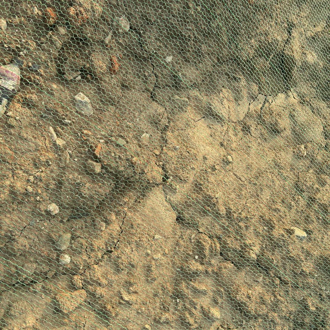 英魂之刃小猪猪