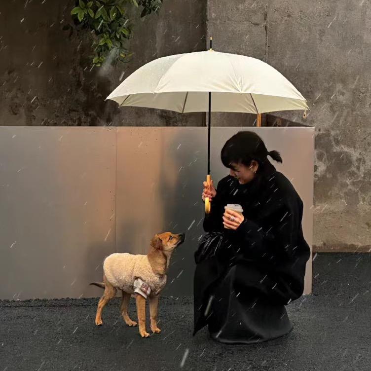 衫羽漫漫