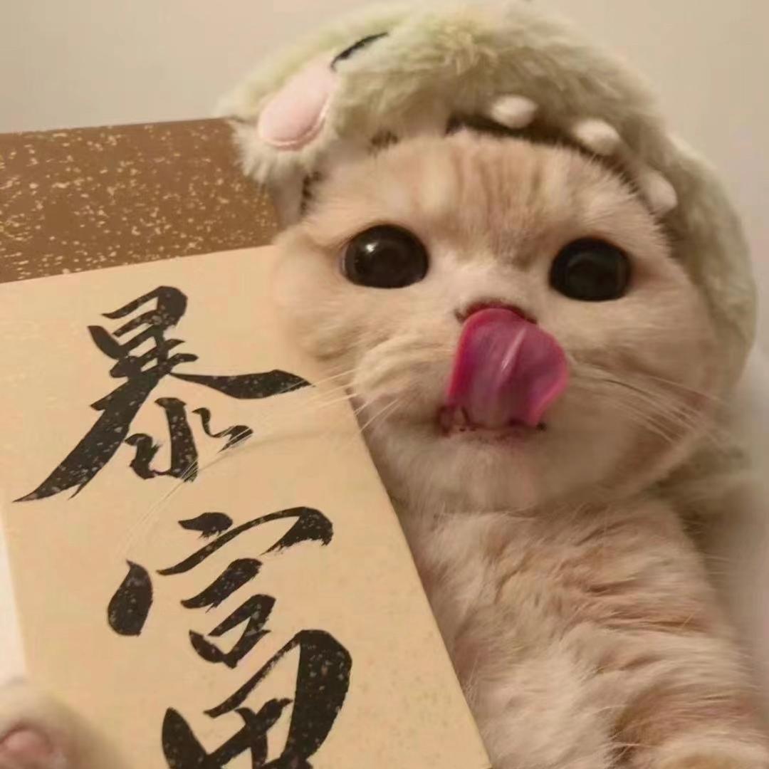 一等锦鲤