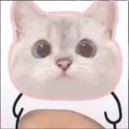 0sy
