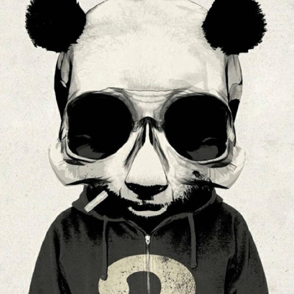 🌈600号🐏🇨🇳