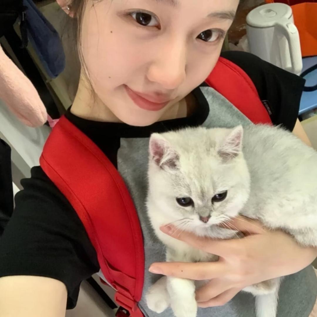 给小迅ᵇᵃᵇʸ讲情话🎀