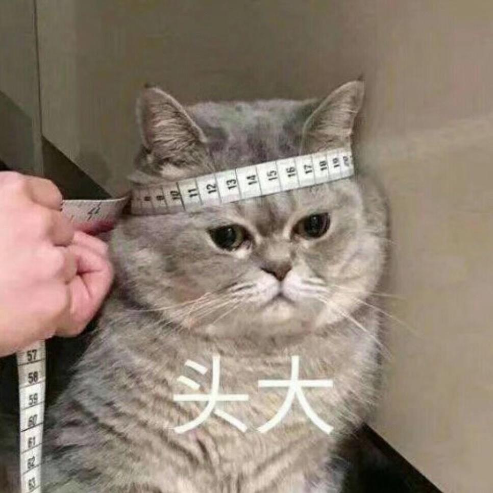 每天都不困