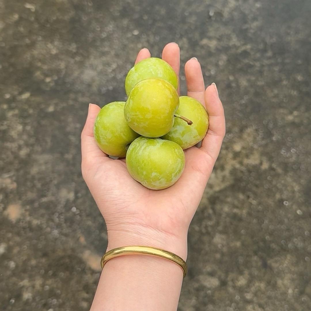 遗忘、内痛？🐅🐅