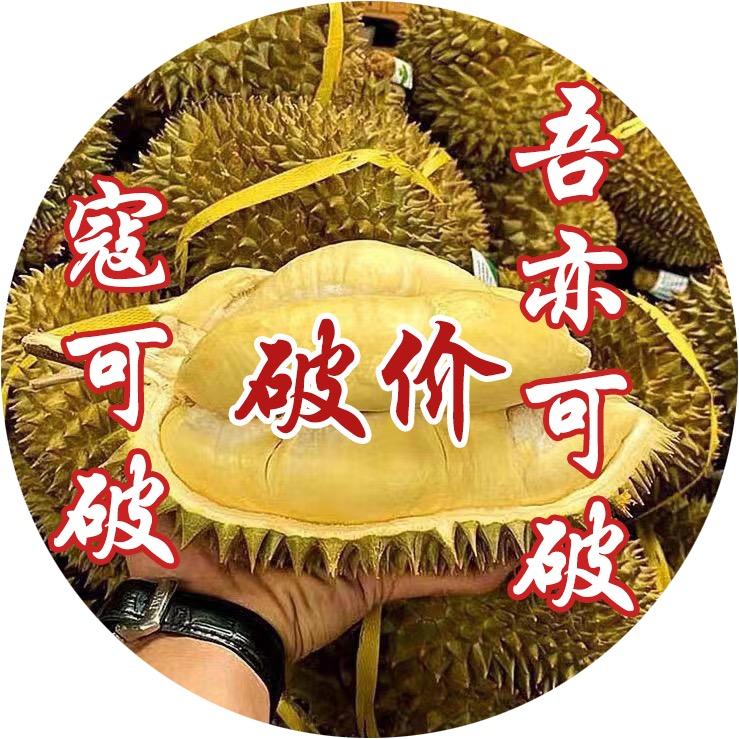 小海榴莲第101个号