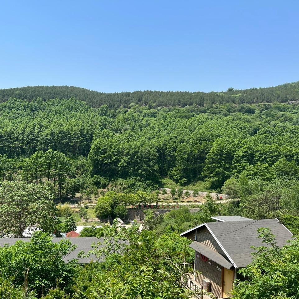梵辉中医药