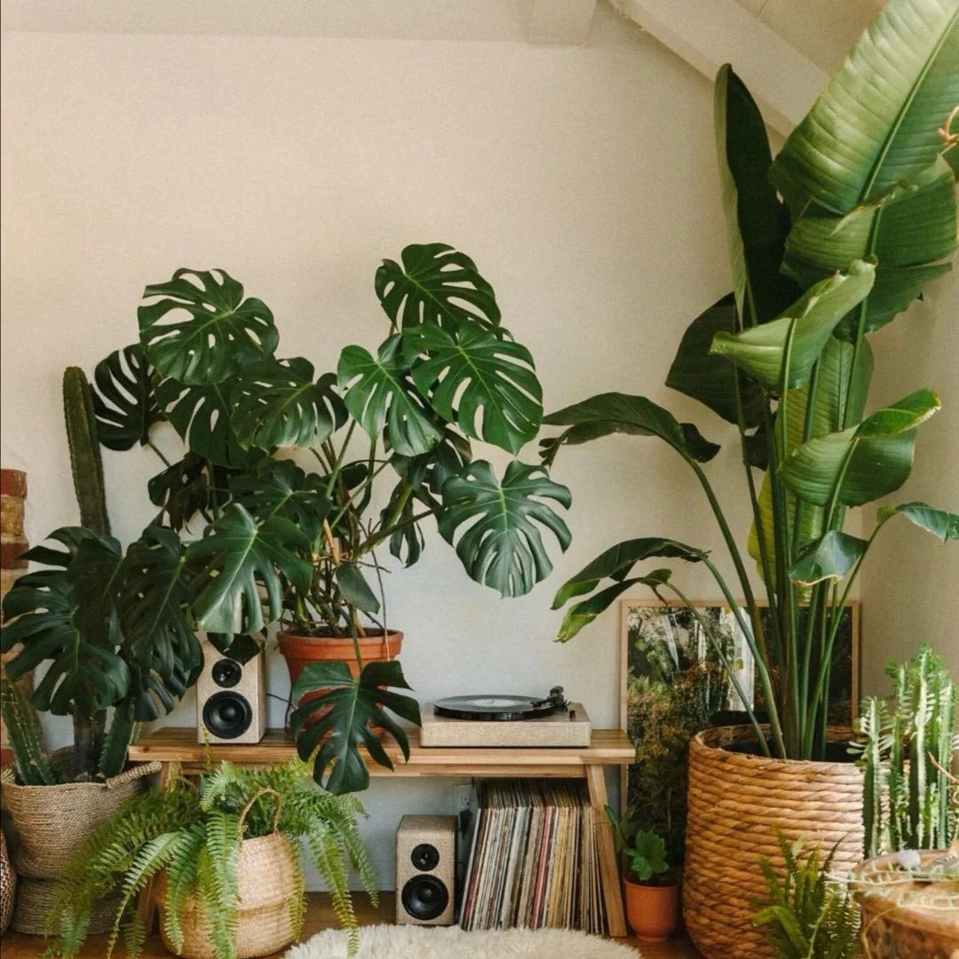 植润久企业店