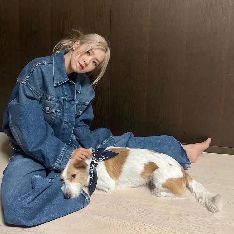 花栗鼠🐿️