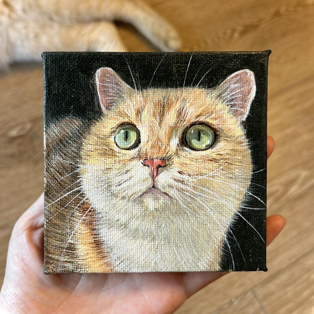 五月岚（宠物手绘接稿中）