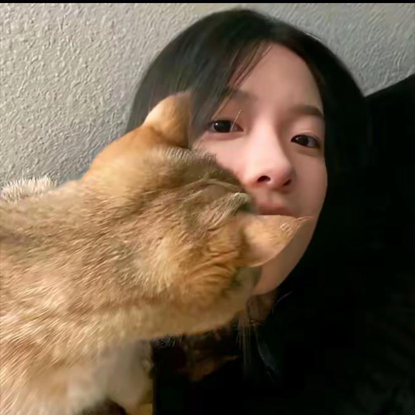 讯冠各