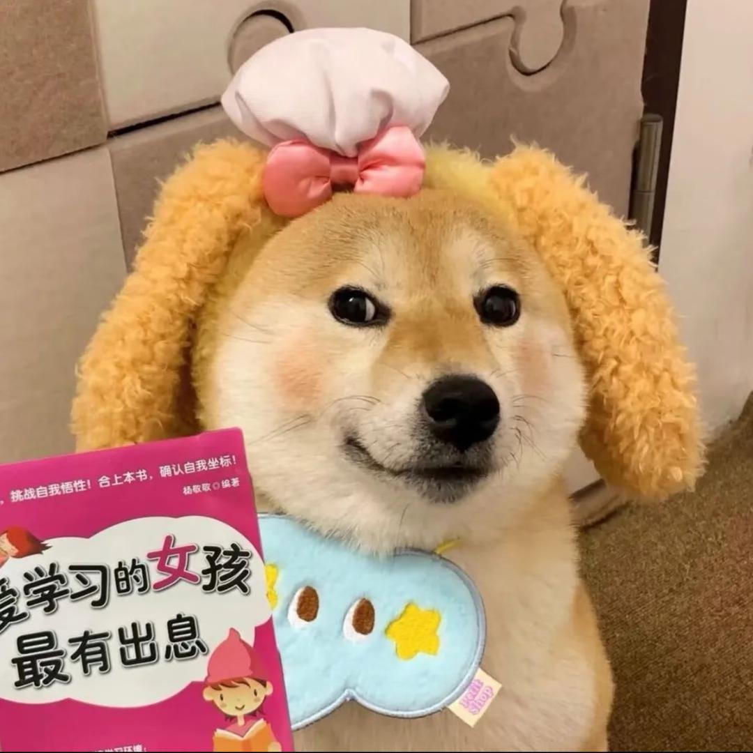 是我猫犯了。