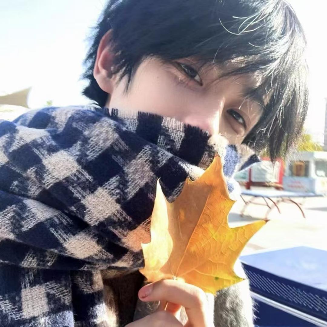 漫雾🍁