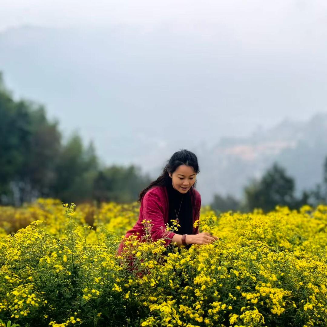 何掌柜的半亩花田
