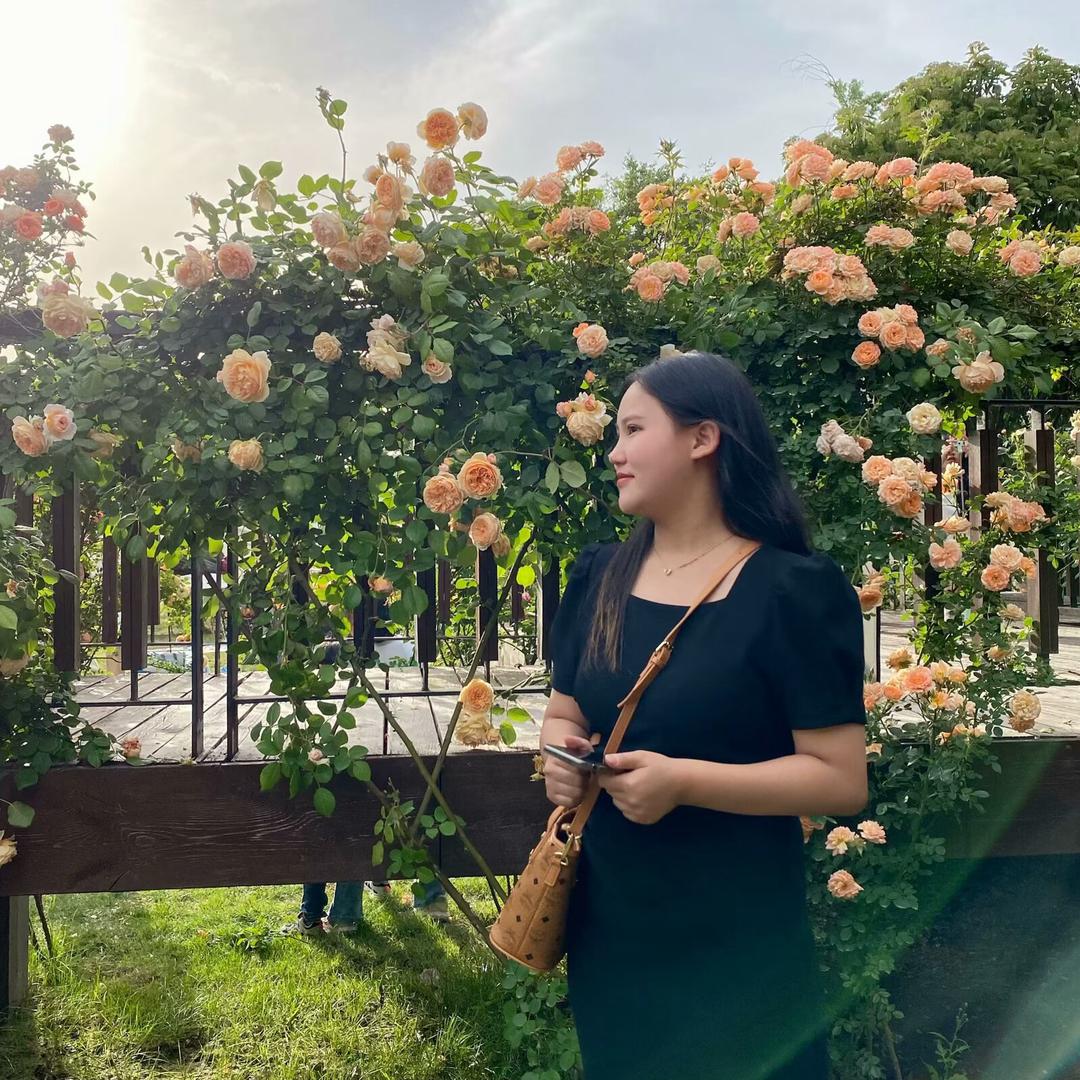 原阳六月气球美学派对