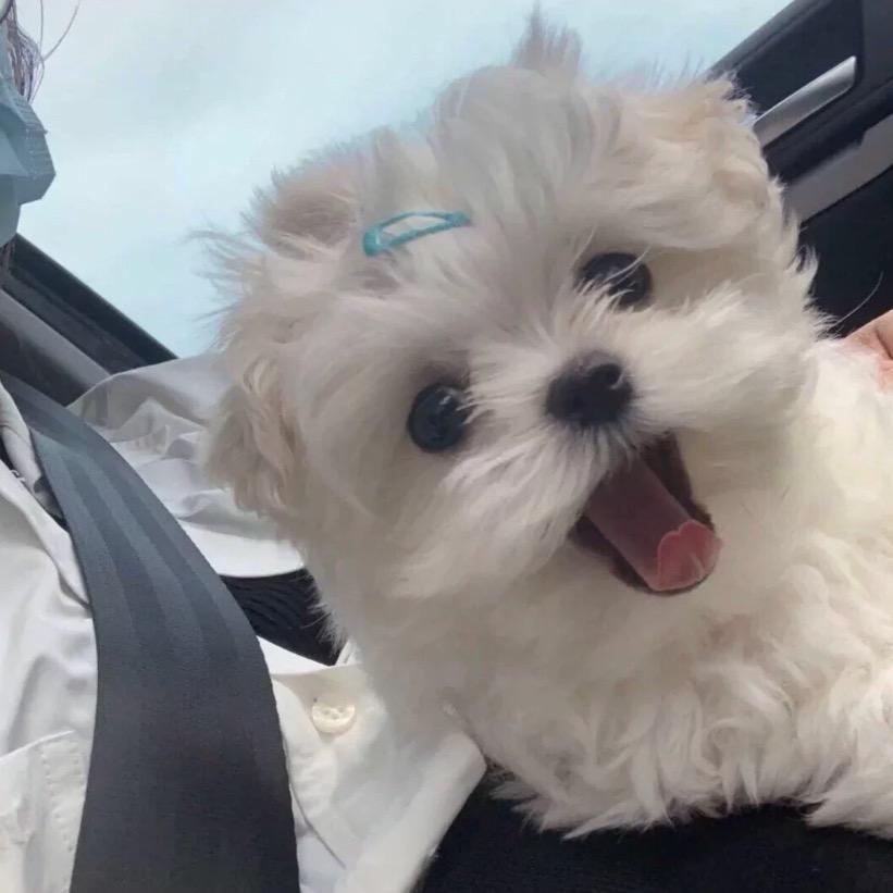 张张babe_🧸