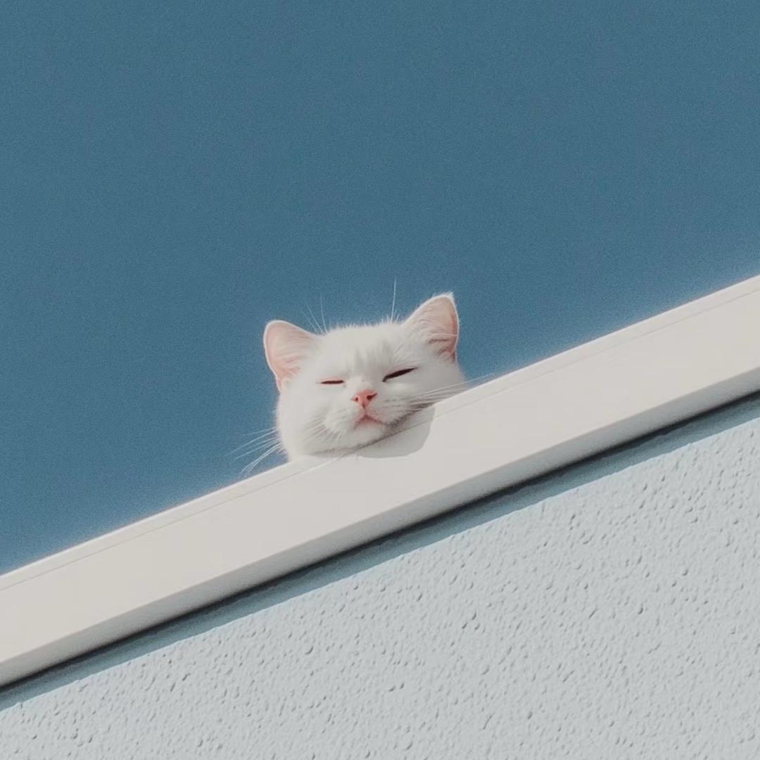 💜