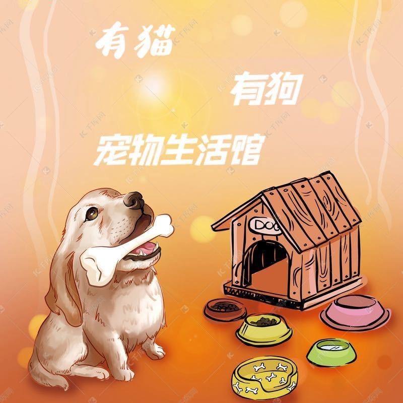 -有猫有狗宠物生活馆🐳