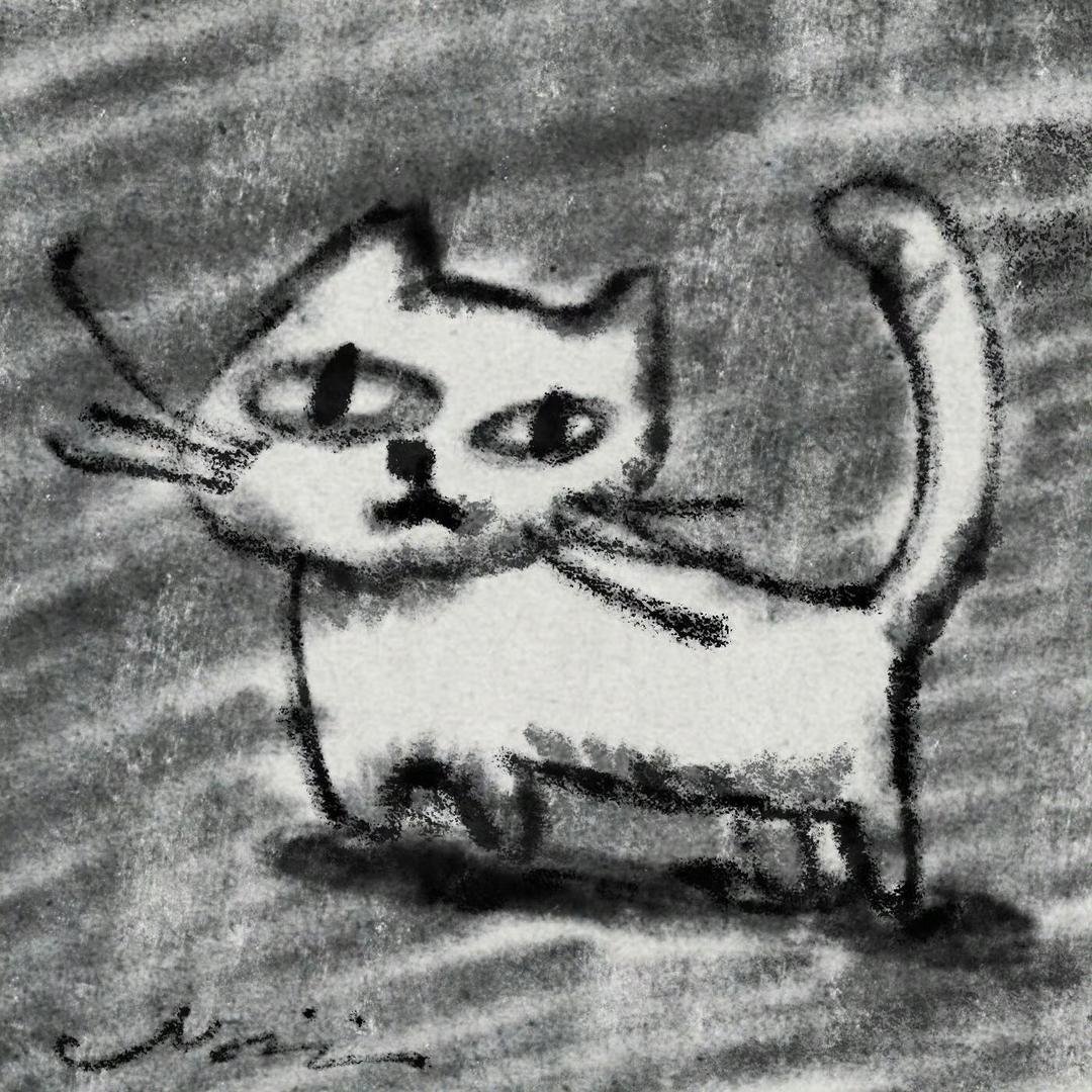 鱼汤汤汤汤