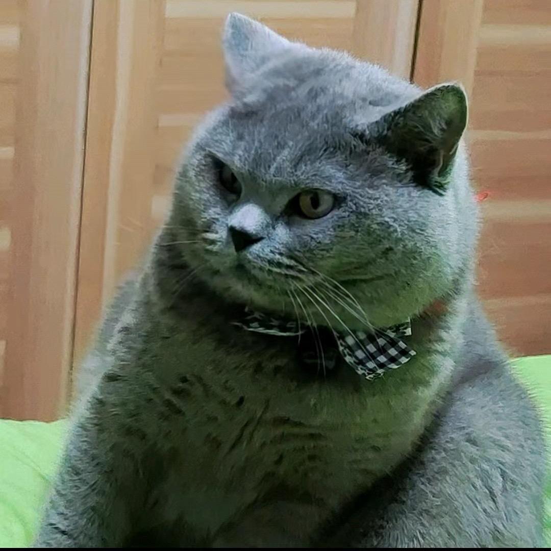 小野猫💋