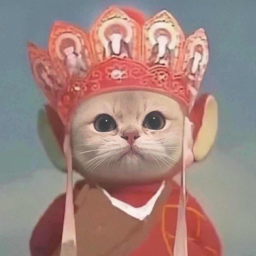 废废啥也不会