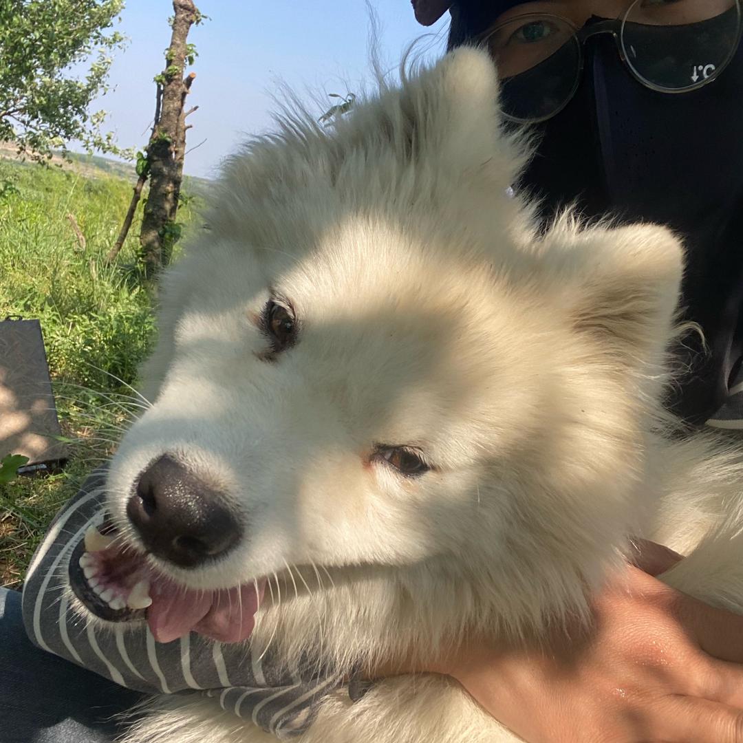 萌萌的李白
