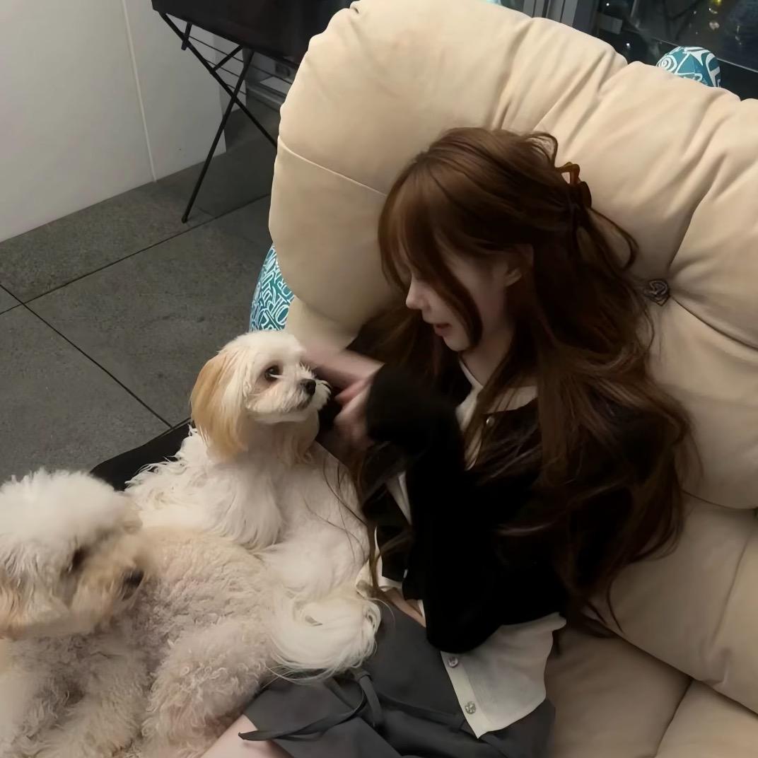 摆烂小鱼