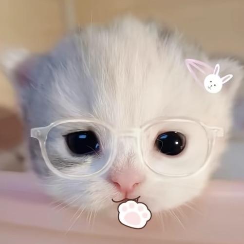小冷伴左右