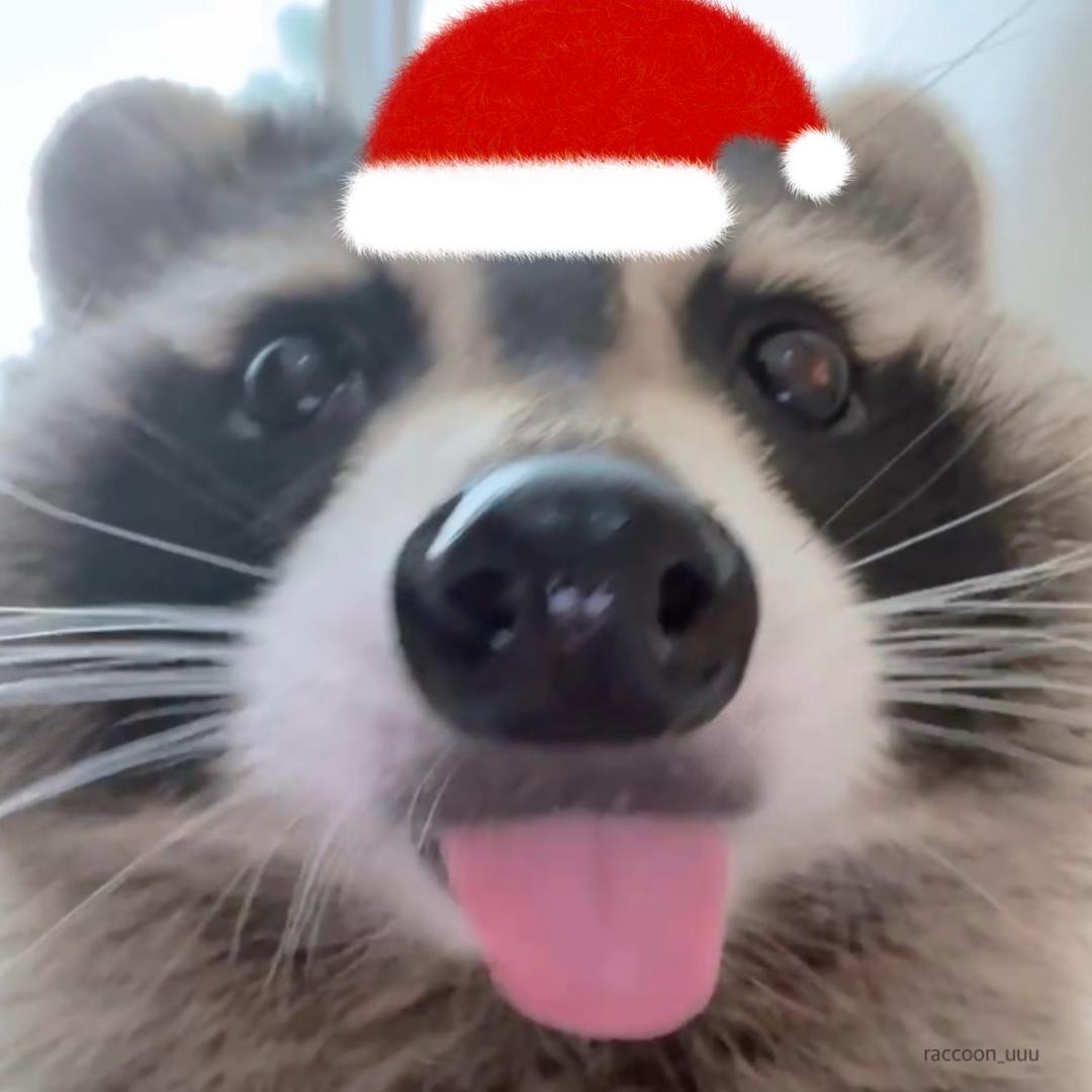 白色的幸福薯片